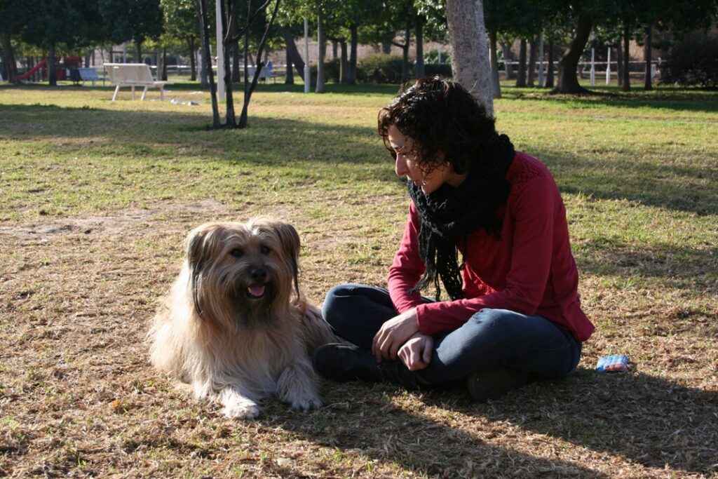 Quiero adoptar un perro, ¿estoy preparado?